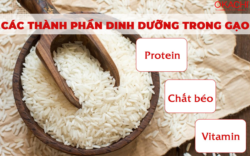 Các thành phần dinh dưỡng trong gạo Protein Chất béo Vitamin