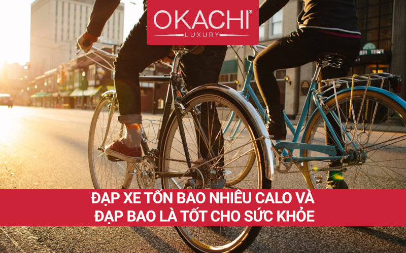 Đạp xe tốn bao nhiêu calo và đạp bao nhiêu là TỐT cho sức khỏe