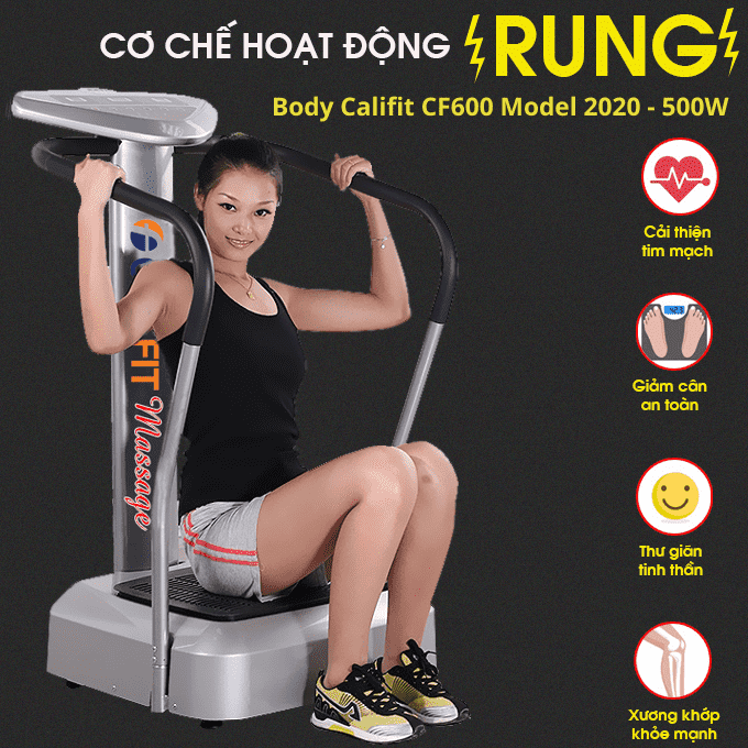 Máy rung toàn thân Body Califit CF-600 