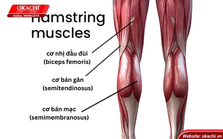 4. Đối Tượng Có Nguy Cơ Cao