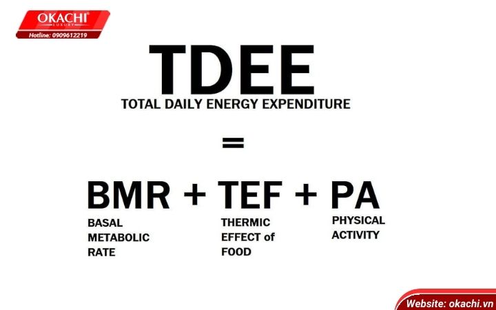 10. Kết Luận: Áp Dụng TDEE Để Có Sức Khỏe Và Thể Hình Lý Tưởng