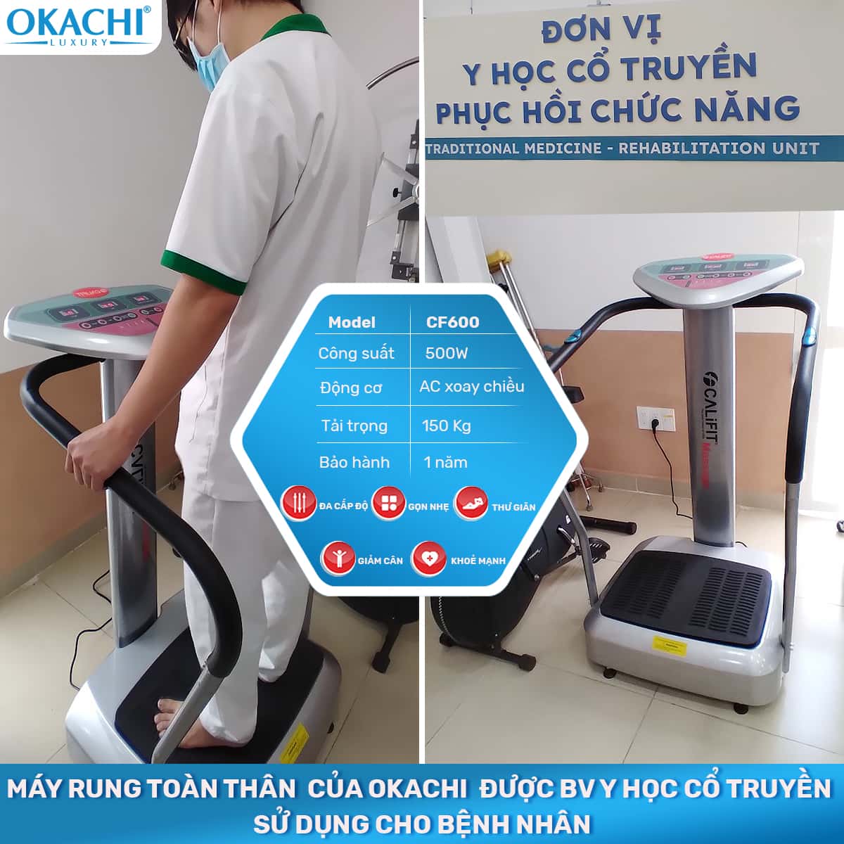 Máy rung toàn thân Body Califit CF-600 