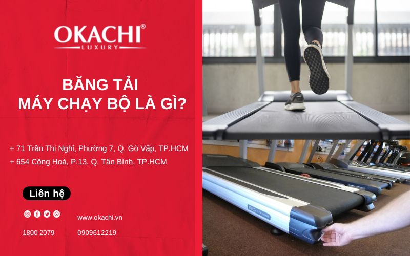 Băng Tải Máy Chạy Bộ Là Gì? Hướng Dẫn Lựa Chọn Băng Tải Phù Hợp