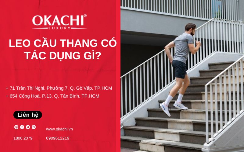 Leo cầu thang có tác dụng gì? Lời khuyên hữu ích cho bạn