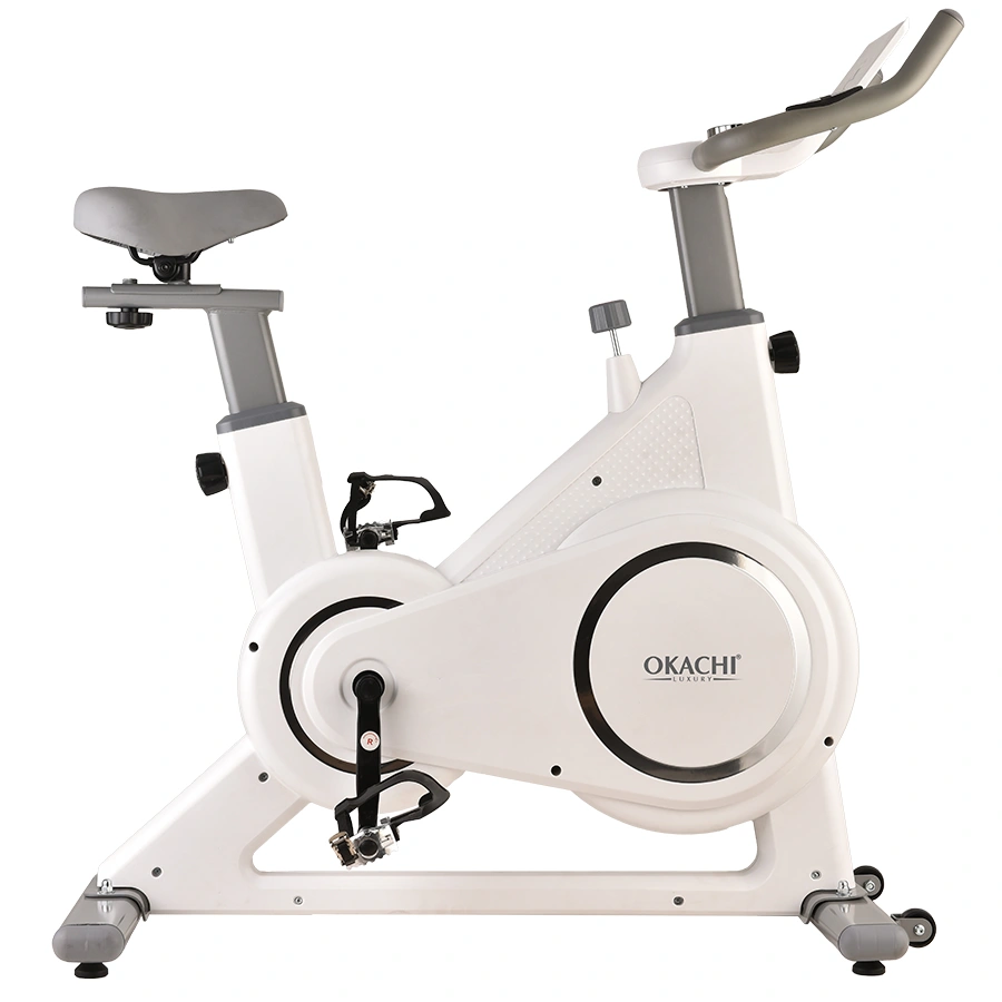 Xe đạp tập thể dục OKACHI JP-599A