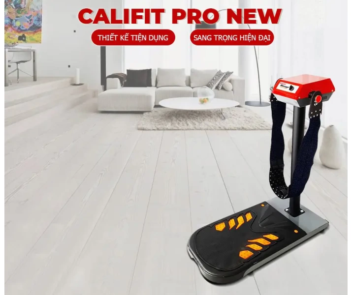 Máy rung bụng đứng Pro New 450W Bảo hành 12 tháng1