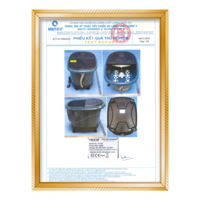 CHỨNG NHẬN AN TOÀN ĐIỆN QUATEST 3 - JP-300