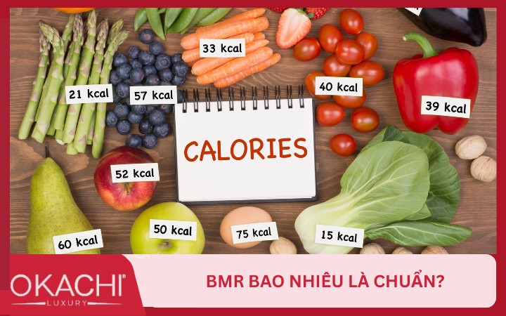 bmr bao nhieu la chuan