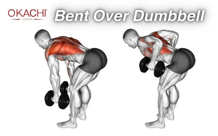 Các bài tập xô Bent Over Dumbbell