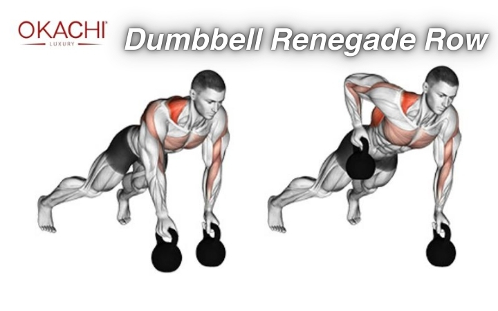 Các bài tập lưng xô cho nam Dumbbell Renegade Row