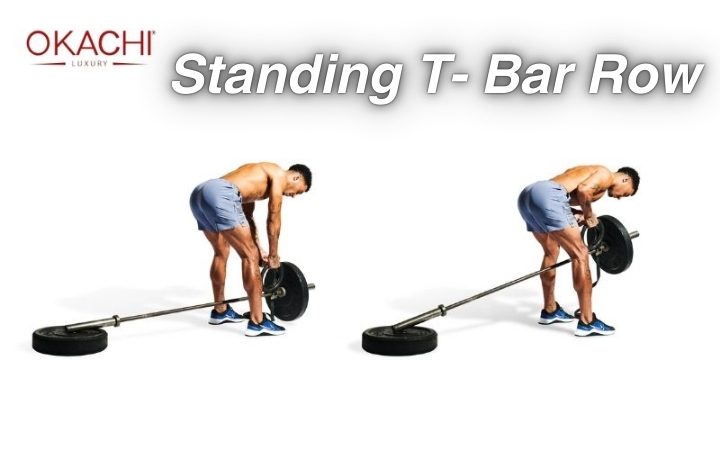 Các bài tập xô cho nam Standing T-Bar Row