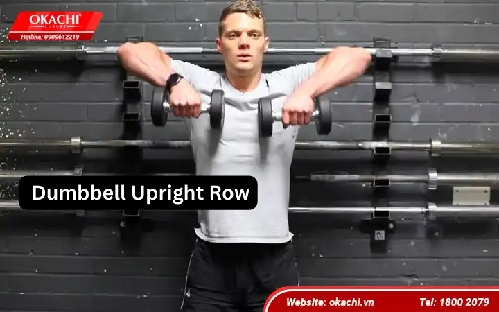 Bài tập Dumbbell Upright Row 