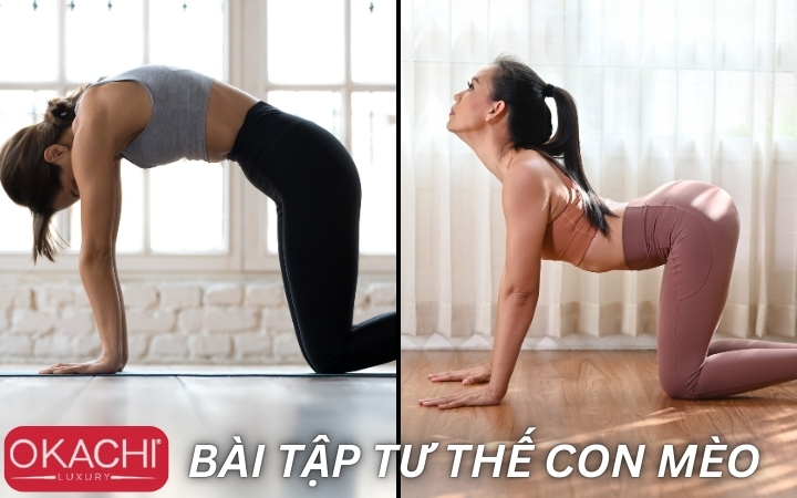 Bài tập tư thế con mèo giúp thư giãn từ cổ đến lưng dưới