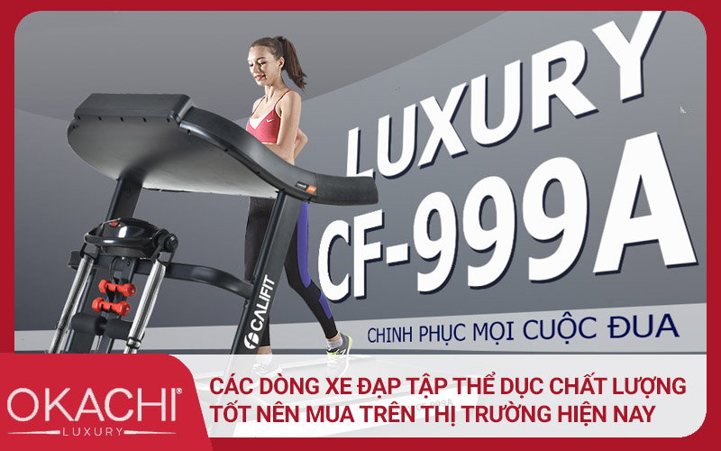 cac dong xe dap tap the duc tai nha tot hien nay