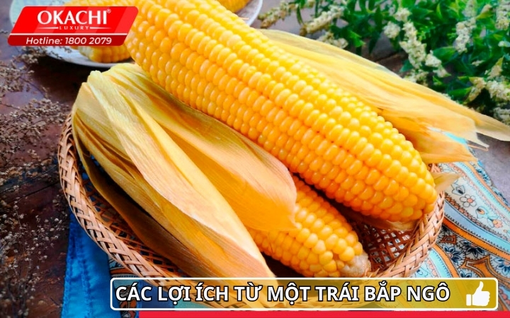 Các lợi ích từ trái bắp