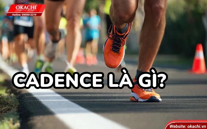 Cadence là gì