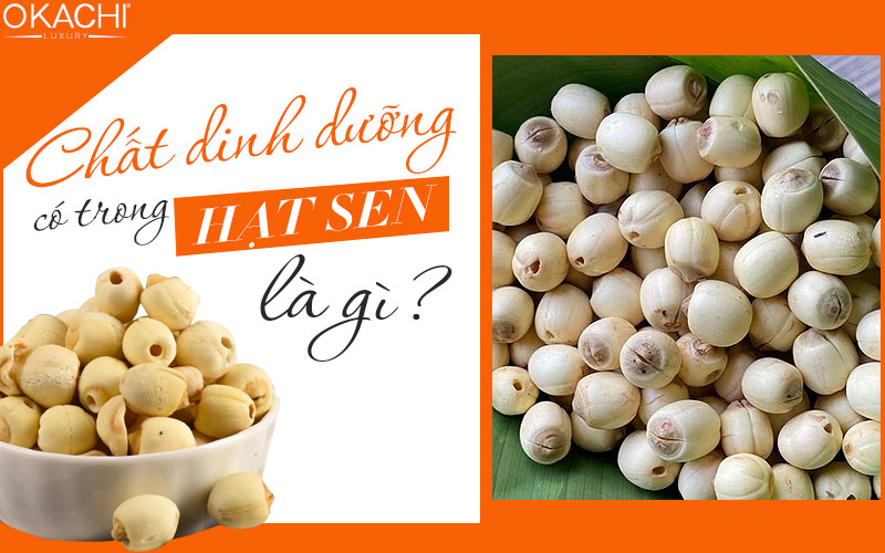 Chất dinh dưỡng có trong hạt sen là gì