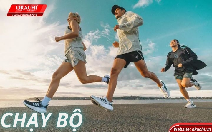 chay-bo