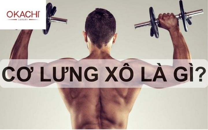 Cơ lưng xô