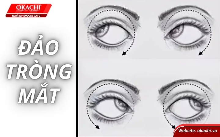 Đảo tròng mắt