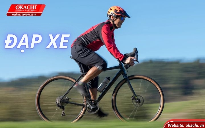 dap-xe