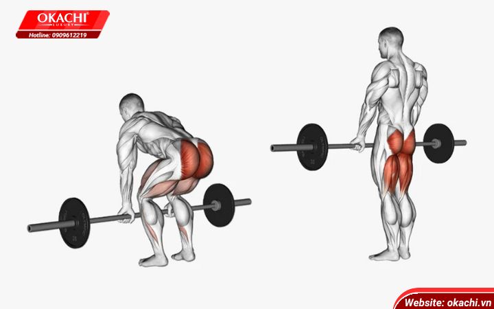 Deadlift là gì