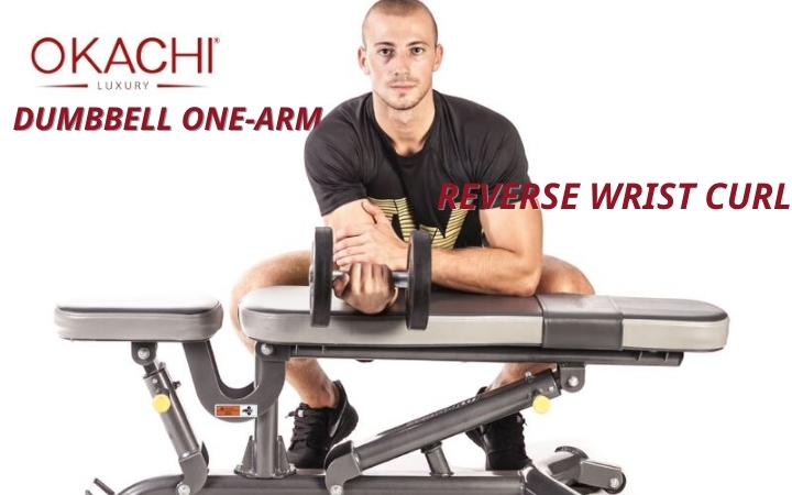 Dumbbell One-arm Reverse Wrist Curl