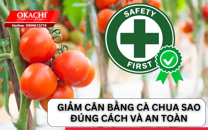 giảm cân bằng cà chua sao đúng cách và an toàn