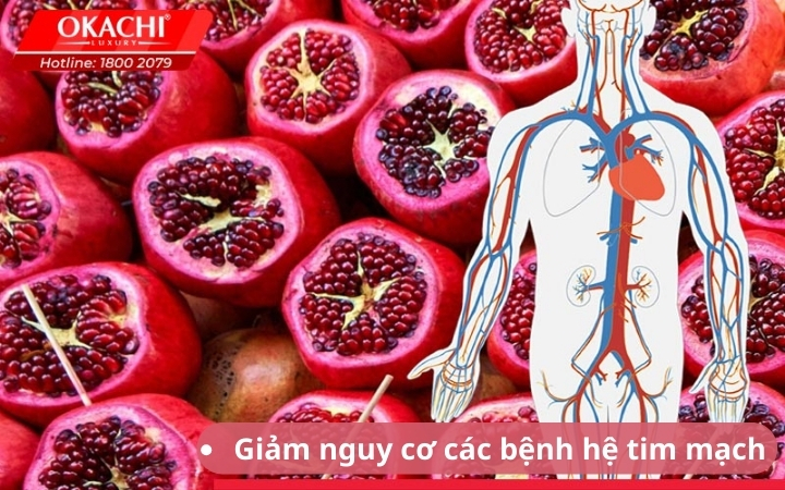 Giảm nguy cơ các bệnh hệ tim mạch