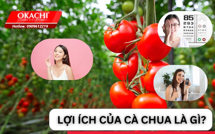 Lợi ích của cà chua là gì