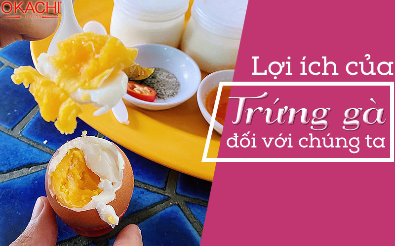 Lợi ích của trứng gà đối với chúng ta