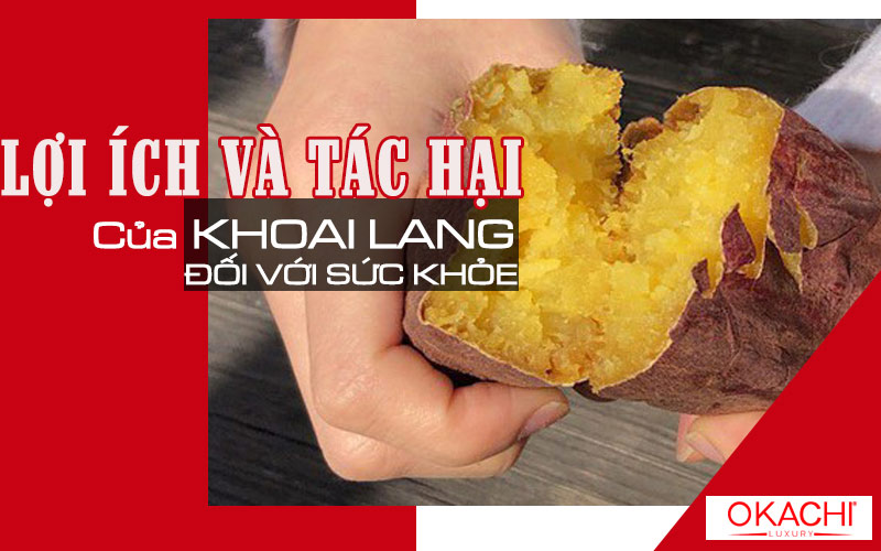 Lợi ích và tác hại của khoai lang đối với sức khỏe
