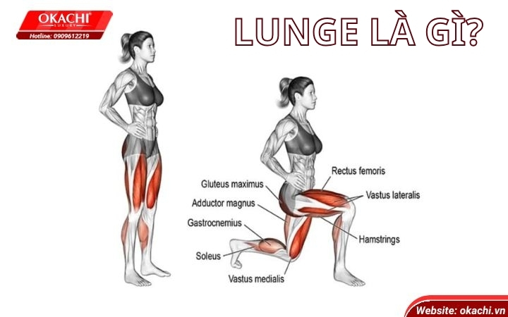  Lunge là gì?