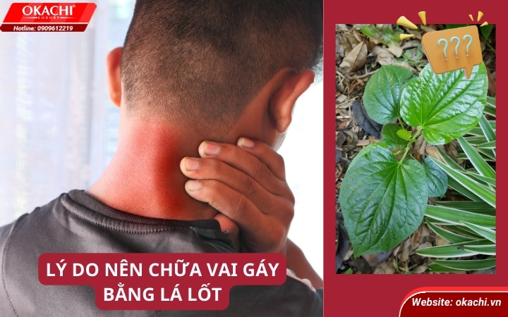 Lý do nên chữa trị đau vai gáy bằng lá lốt