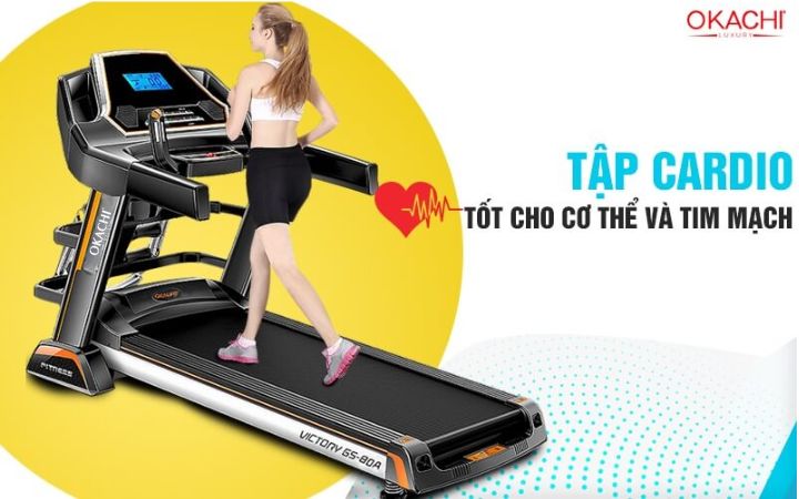 các bài tập cadio