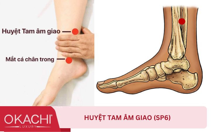 Huyệt Tam Âm Giao
