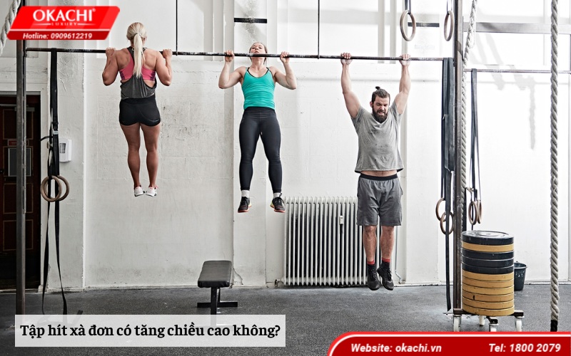 Tập hít xà đơn có tăng chiều cao không