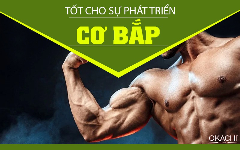 Tốt cho sự phát triển cơ bắp