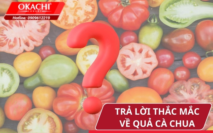 Trả lời 1 số thắc mắc về quả cà chua