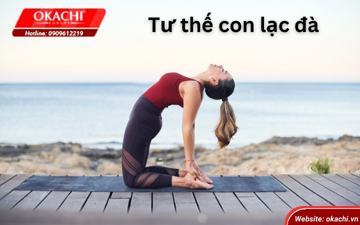 Tu the yoga giam mo bung Tu the con lac da