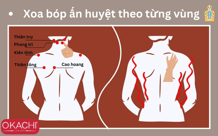 Xoa bóp ấn huyệt theo từng vùng