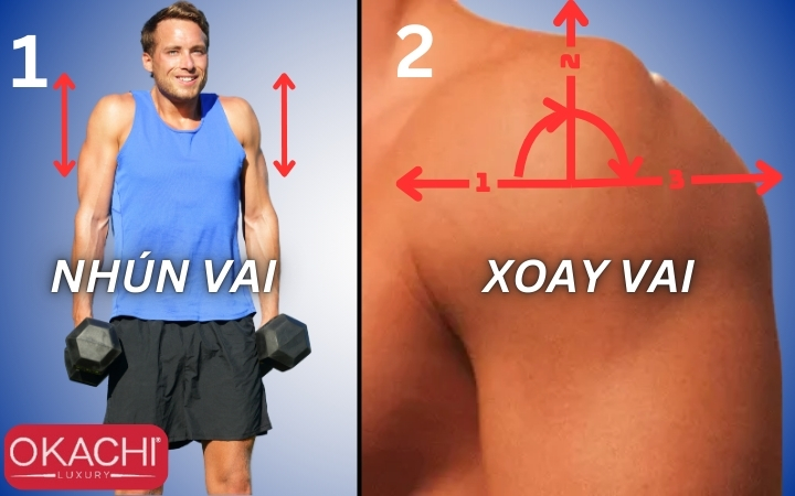 Xoay và Nhún vai giúp thư giãn và phục hồi cơ vai hiệu quả