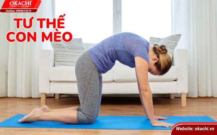 Tư thế con mèo thư giãn cột sống