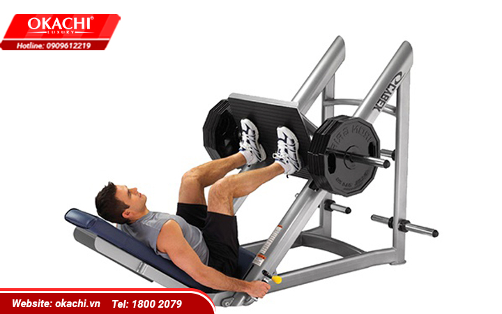 Bài đạp đùi với máy tập chân