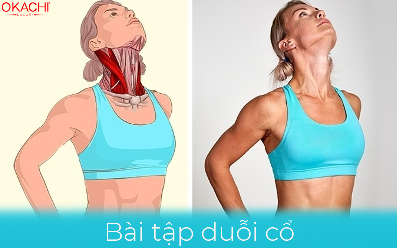 Bài tập duỗi cổ