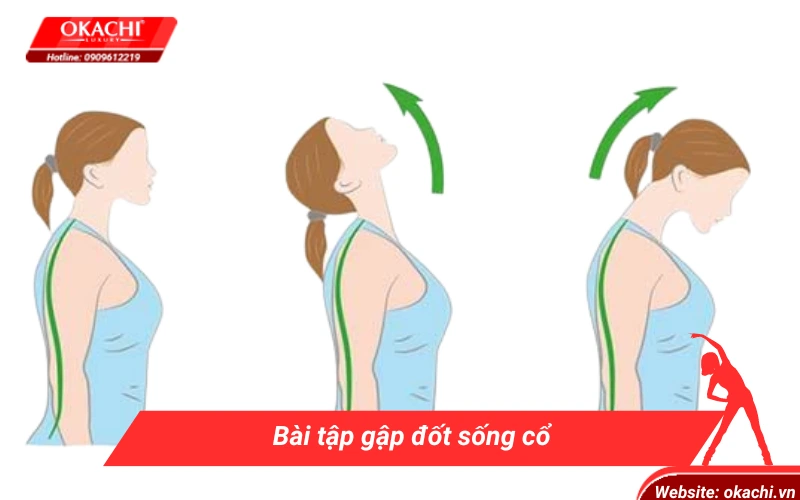 Bài tập gập đốt sống cổ