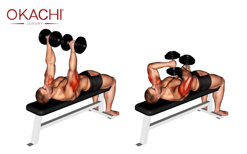 Tập tay sau với tạ đơn Dumbbell Tate Press