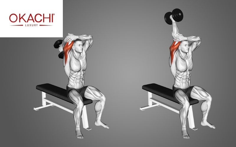 Bài tập tay sau với tạ đơn Overhead Dumbbell Extension