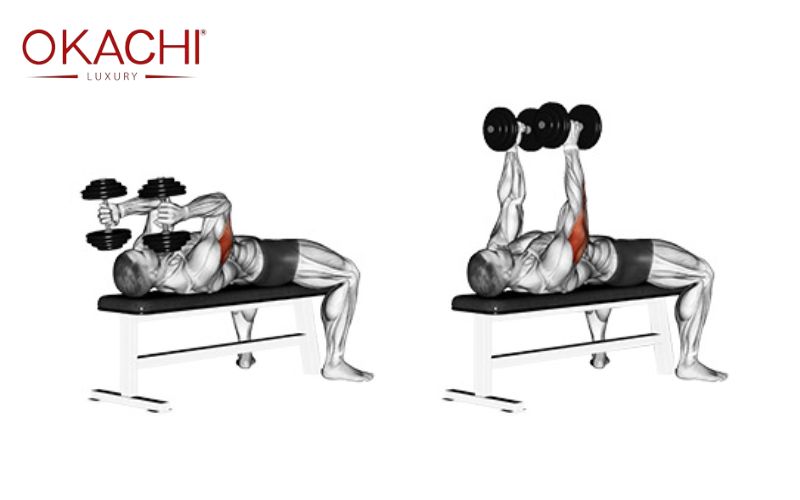 Bài tập cơ tay sau với tạ đơn Skull Crushers