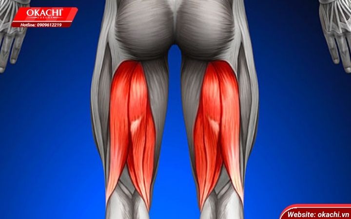 cac-chan-thuong-co-hamstring